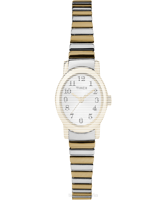 correas | Timex Correa de repuesto para pulsera cavatina. Dos tonos unisexo Z8X2661