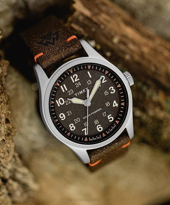 relojes | Timex Reloj Expedition North Field Solar de 36 mm con correa de cuero ecológico acero inoxidable/marrón/negro hombres Z8X2177