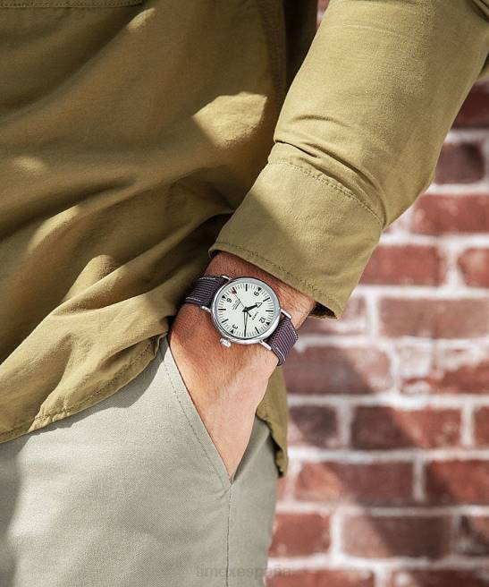 relojes | Timex Reloj estándar con correa de tela de 40 mm. tono plateado/marrón/crema hombres Z8X2191